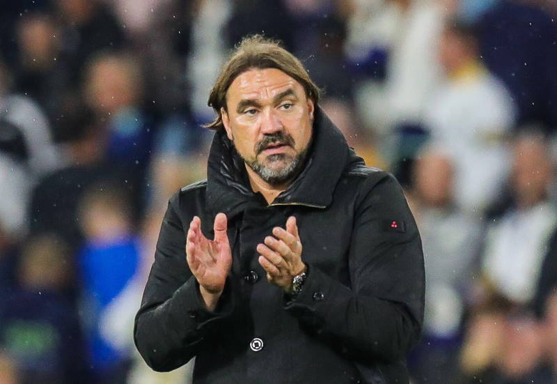 Much Needed - Leeds United Boss Daniel Farke Makes Admission On Additions