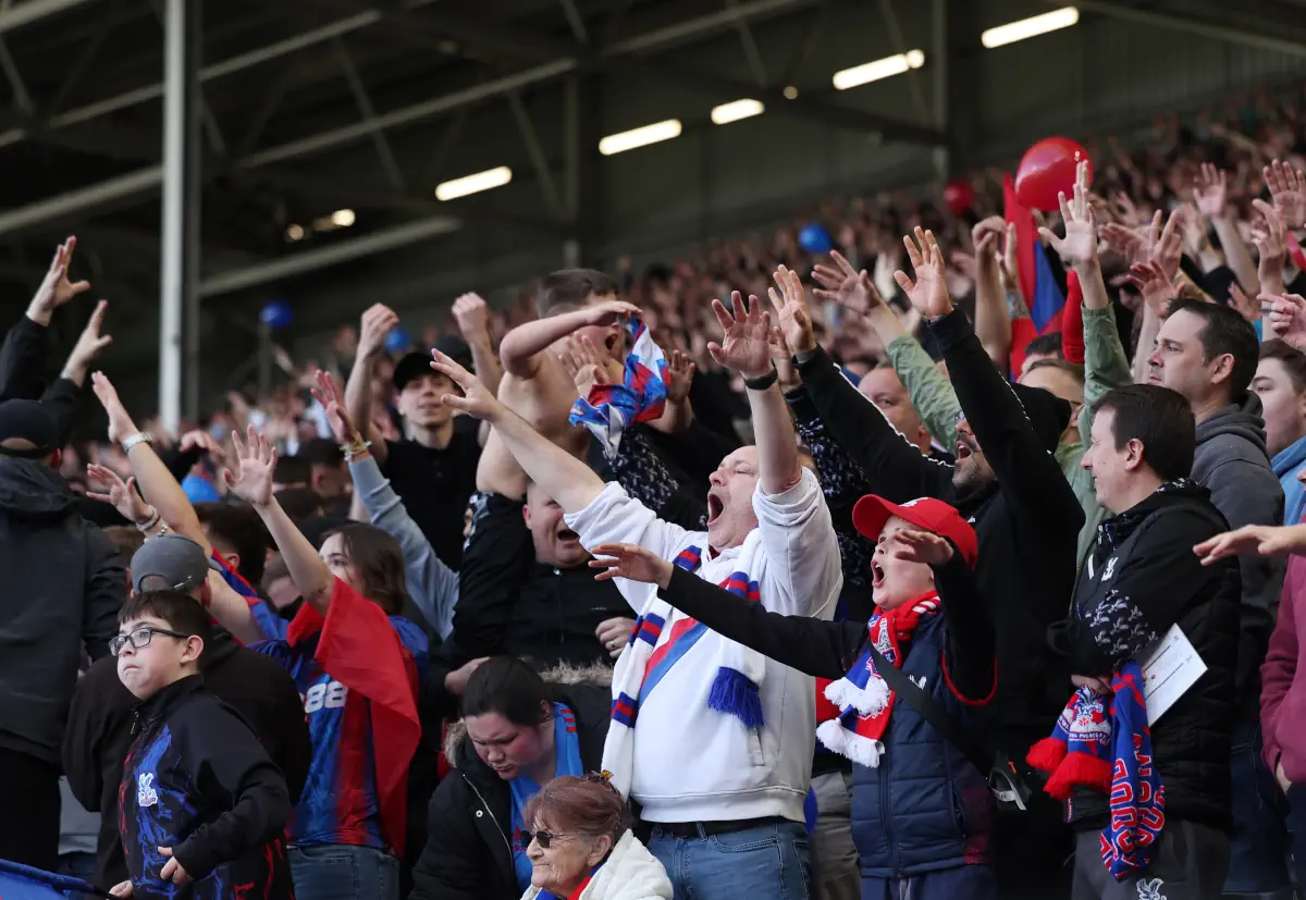 Crystal Palace fans celebrate a goal